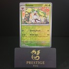 Steenee