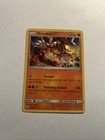 Groudon