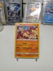 Groudon