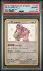 Oranguru