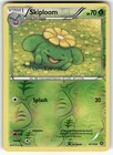Skiploom
