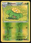 Skiploom
