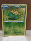 Skiploom