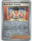 Black Belt's Training