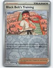 Black Belt's Training