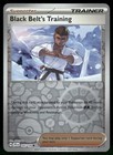 Black Belt's Training