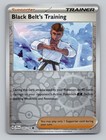 Black Belt's Training