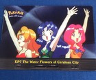 The Water Flowers of Cerulean City