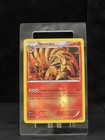 Ninetales