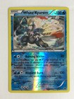 White Kyurem