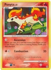 Ponyta