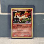 Ponyta
