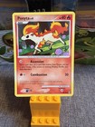 Ponyta
