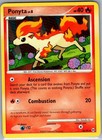 Ponyta