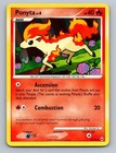 Ponyta