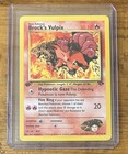 Brock's Vulpix