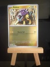 Raikou