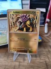Raikou