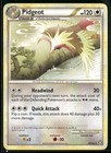 Pidgey