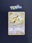 Pidgey