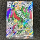 Noivern ex