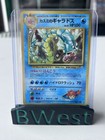 Misty's Gyarados