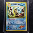 Misty's Gyarados