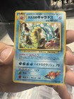 Misty's Gyarados