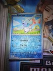 Cubchoo