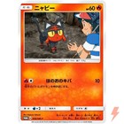 Litten 