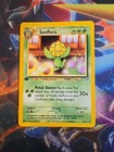 Sunflora