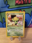 Sunflora