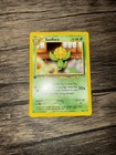 Sunflora