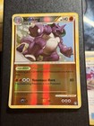 Nidoking