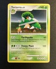 Torterra