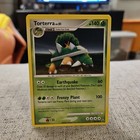 Torterra
