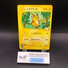 Jasmine's Raichu