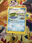 Lotad