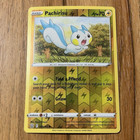 Pachirisu