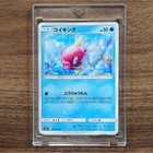 Magikarp