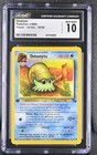 Omanyte