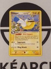 Pelipper