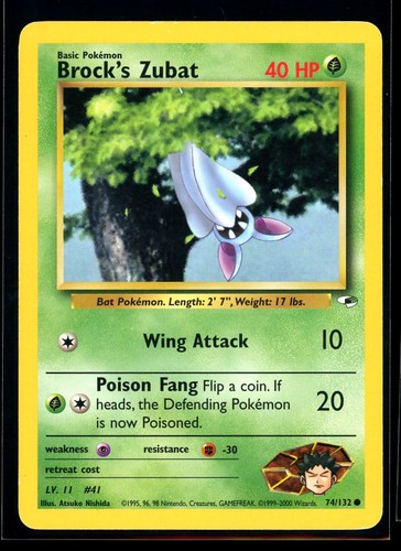 Brock's Zubat