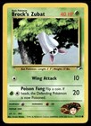 Brock's Zubat