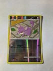 Rattata