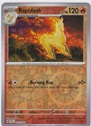 Rapidash