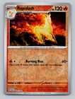 Rapidash