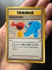 Misty's Treatment