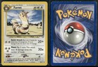 Furret
