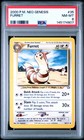 Furret